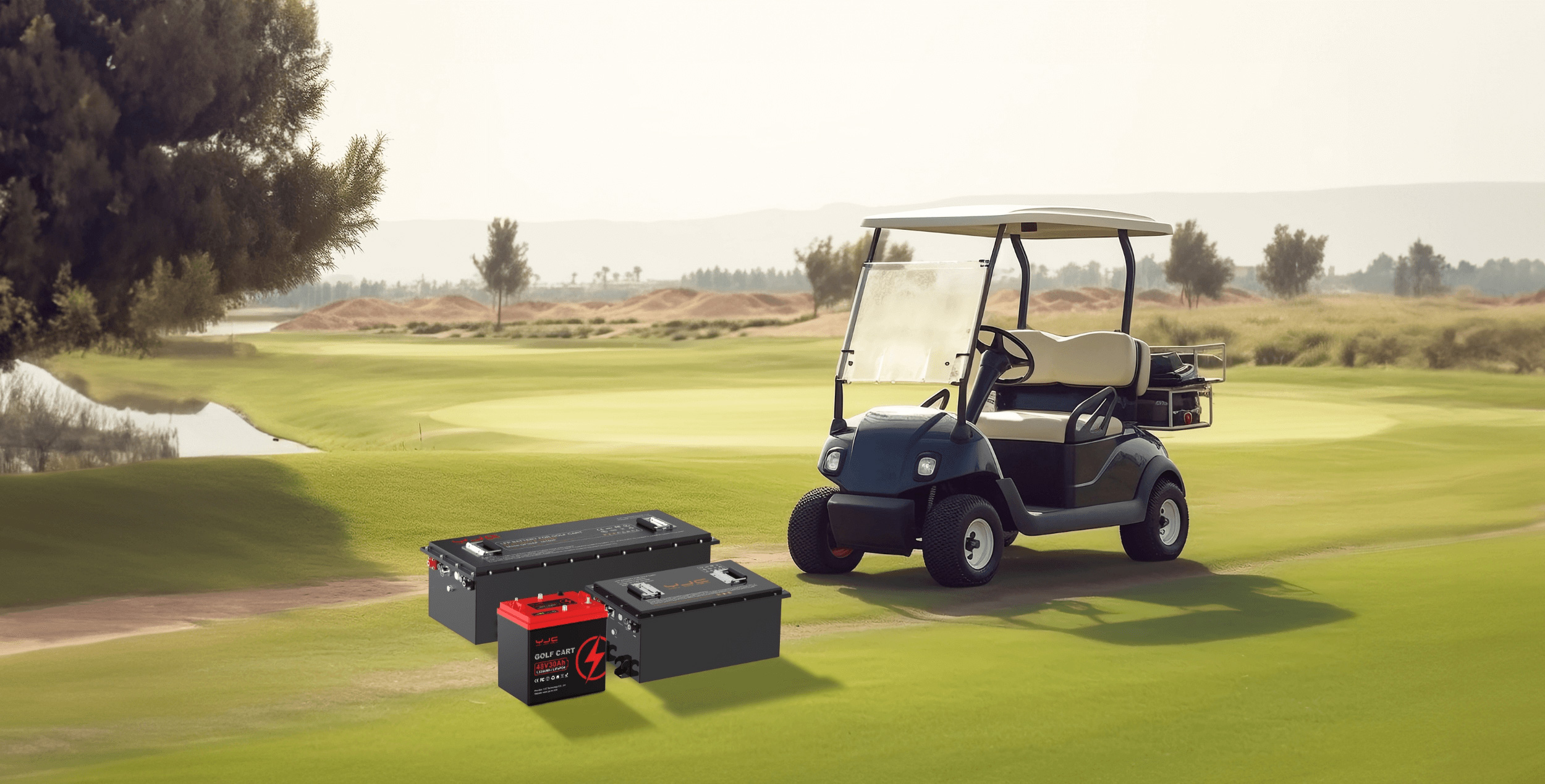 Golf cart battery